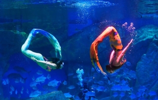 �й���44118̫���ɳǼ���(�ɷ����޹�˾)-�ٷ���վ