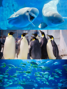 �й���44118̫���ɳǼ���(�ɷ����޹�˾)-�ٷ���վ