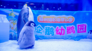 �й���44118̫���ɳǼ���(�ɷ����޹�˾)-�ٷ���վ