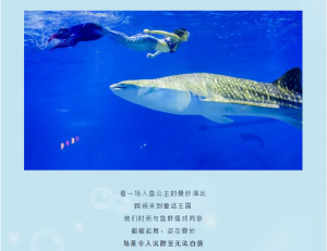 �й���44118̫���ɳǼ���(�ɷ����޹�˾)-�ٷ���վ